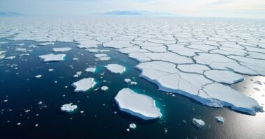 southern oceans ice melting - The Green Blueprint southern oceans ice melting