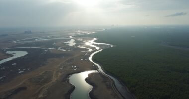 alberta oil sands royalties decline